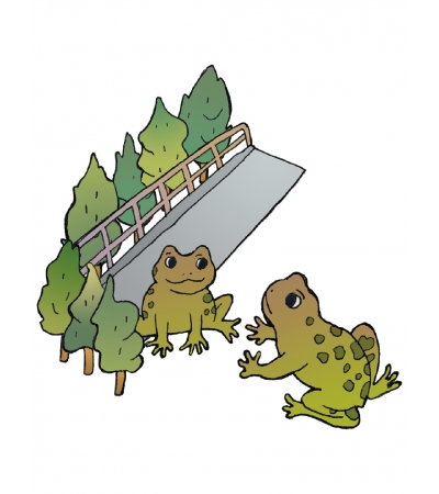 30th Anniversary NFT F